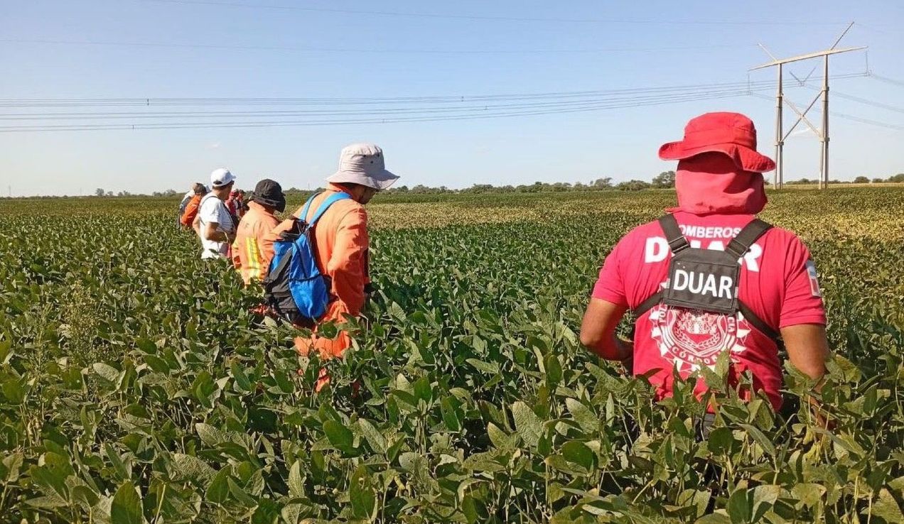 Desapariciones de niños en Argentina: Alerta Sofía y los desafíos en la búsqueda