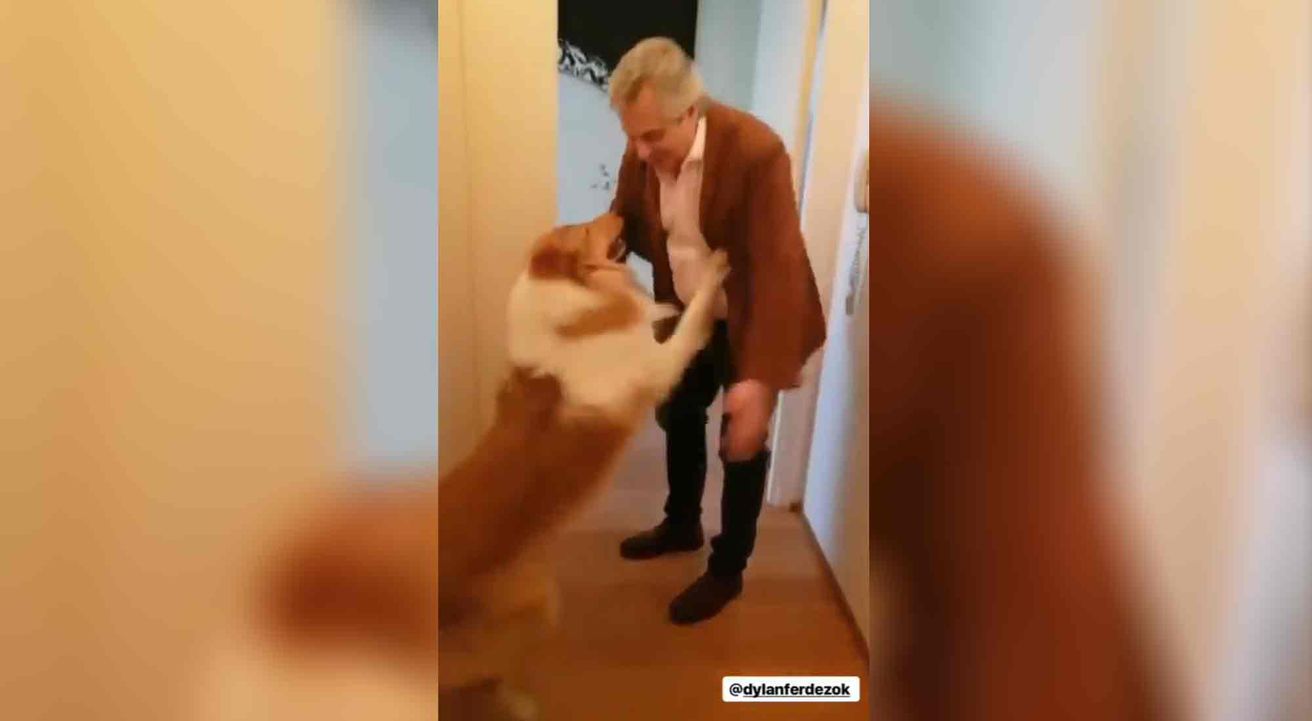 Así recibió Dylan a Alberto Fernández tras ser dado de alta