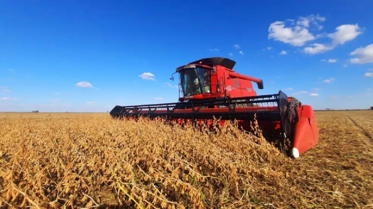 Fertilizantes caros y suelos agotados: el desafío del trigo y la cebada este año