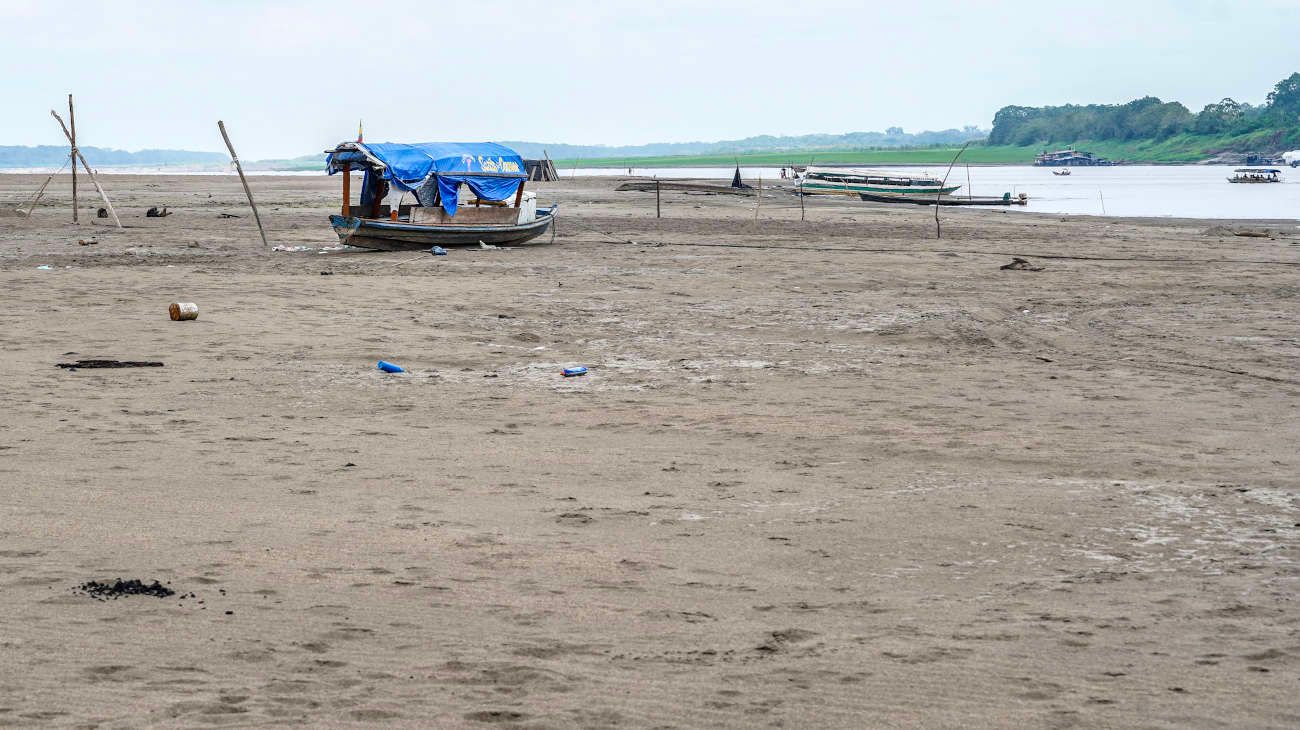Florece el desierto de Sahara y se marchita el Amazonas