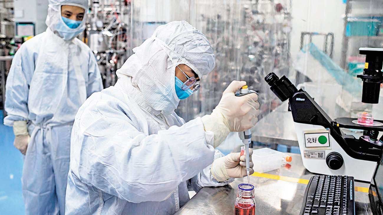 ¿Embarazadas o personas con enfermedades previas? Quiénes deberían vacunarse primero