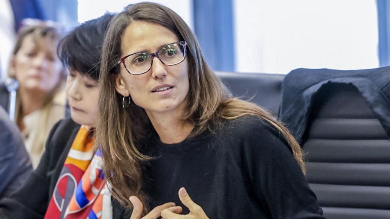Elizabeth Gómez Alcorta: "Milei es un varón altamente violento y misógino"