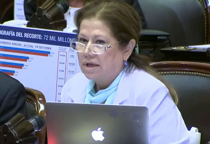 Graciela Camaño tildó a Marcos Peña de "monje negro"