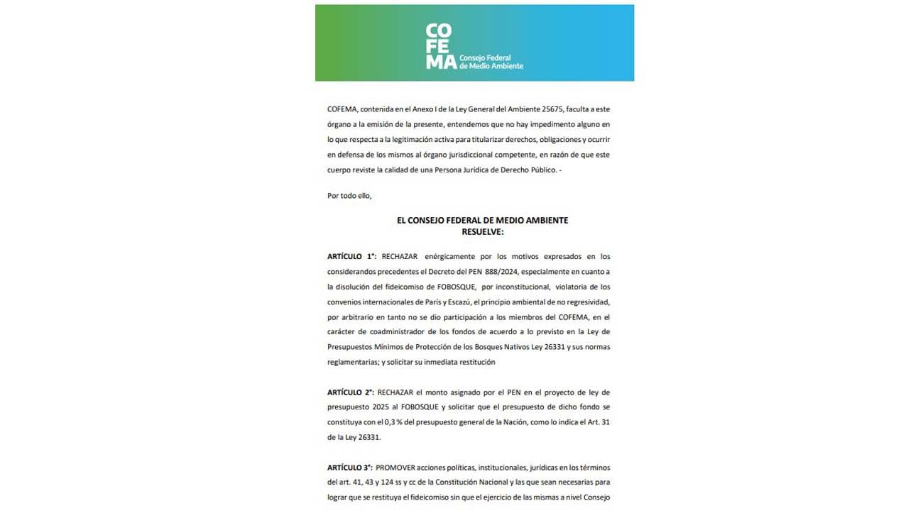 Provincias estudian demandar a Nación por el recorte a la protección de bosques