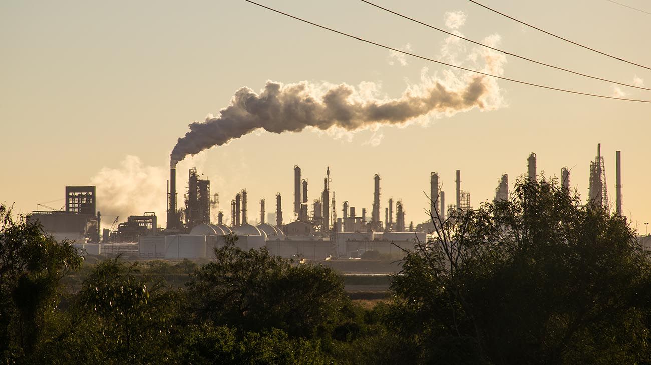 7 pasos para ser una empresa carbono neutral