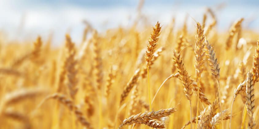 El Agro 4.0