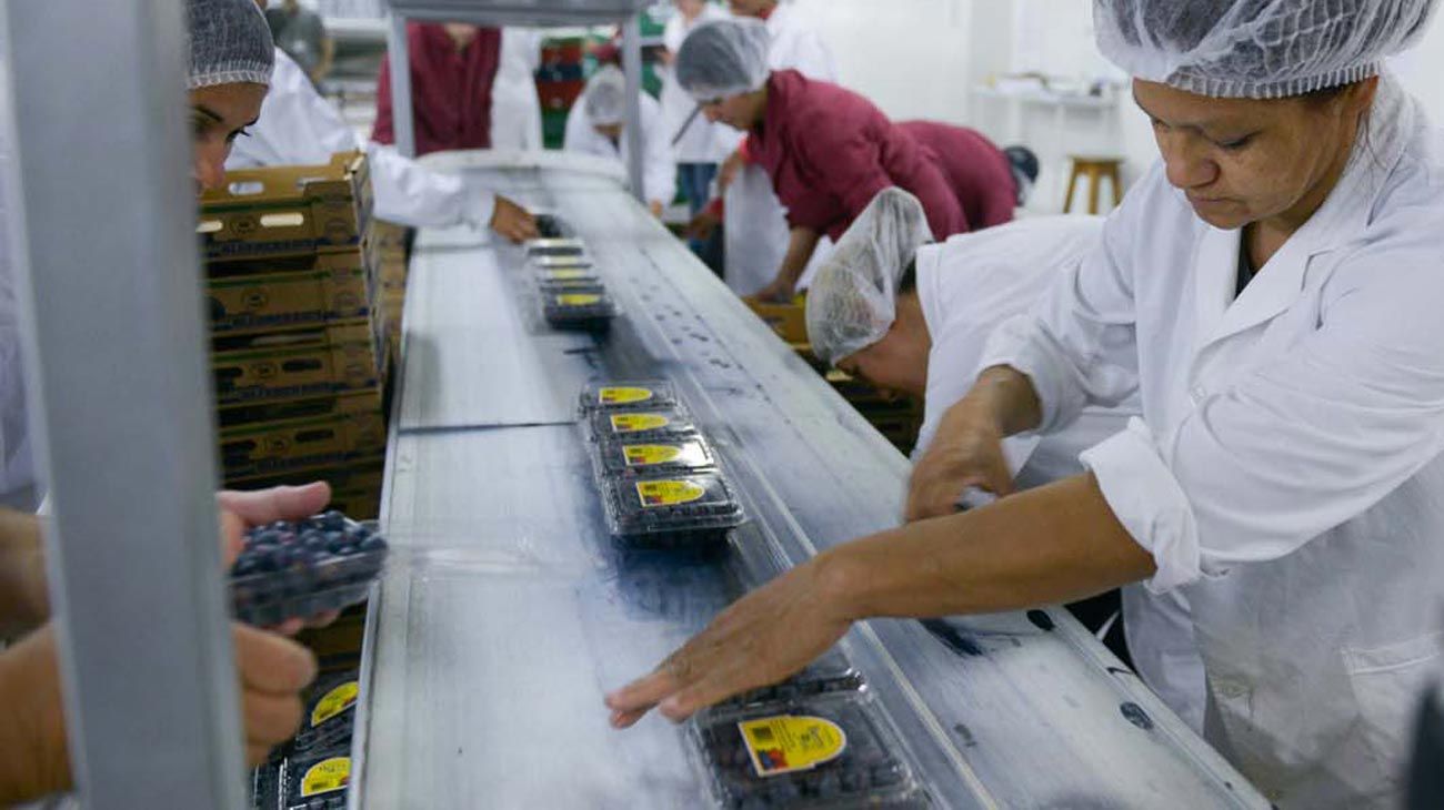 Reforma laboral: por qué podría afectar especialmente a mujeres