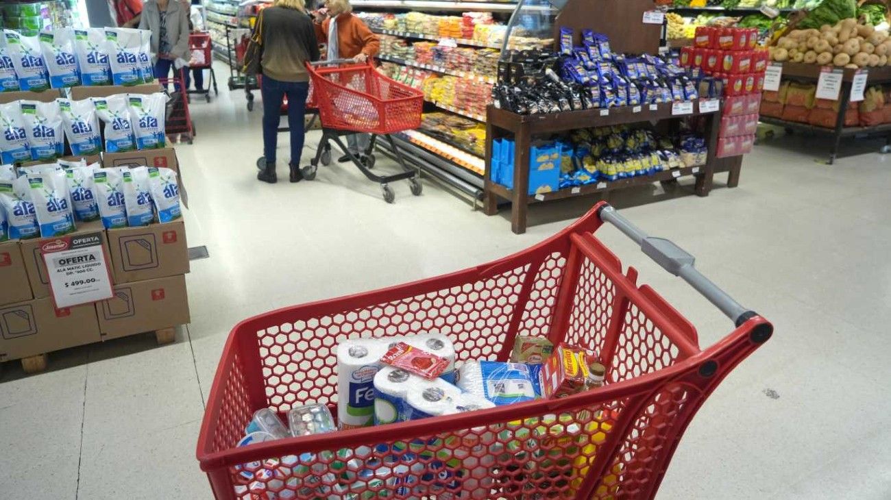 La OCDE estimó que la inflación en Argentina alcanzará el 250% en 2024