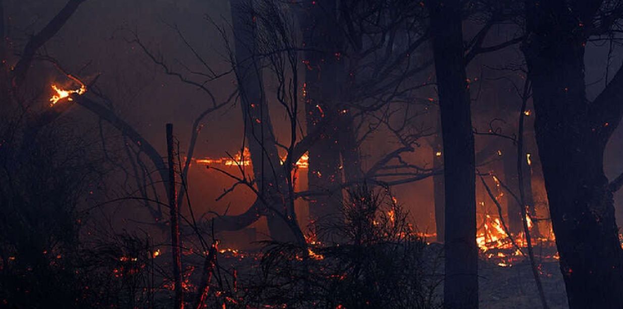 Incendios forestales: ya se quemaron cerca de 40.000 hectáreas en la Patagonia