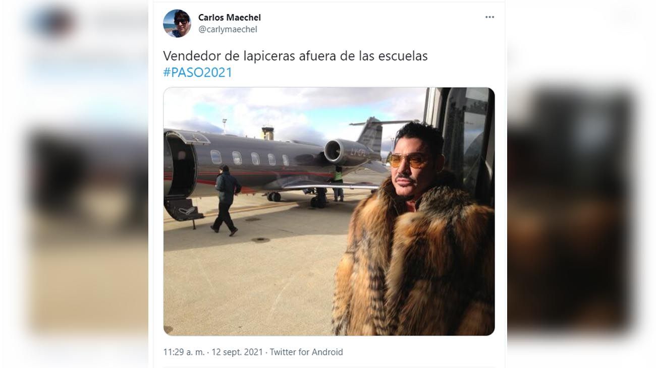 Leonardo Di Caprio, Okupas, Los Simpson, carpinchos y covid: los memes de las PASO
