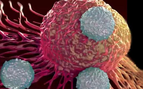 Importante avance contra el cáncer: crean bacterias capaces de detectar la presencia de ADN de tumores
