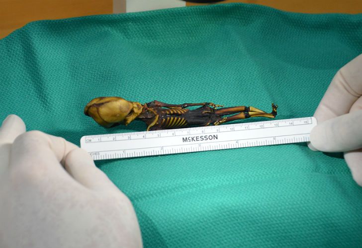 Terminaron con el misterio de la "momia extraterrestre" encontrada en Chile