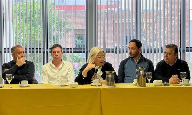 Carrió “sale de gira” para evitar sorpresas