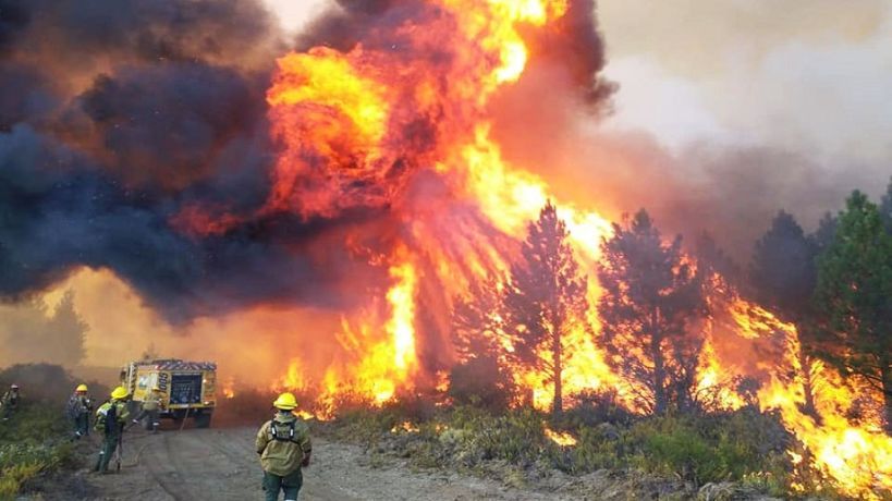 Incendios en la Patagonia: una catástrofe anunciada