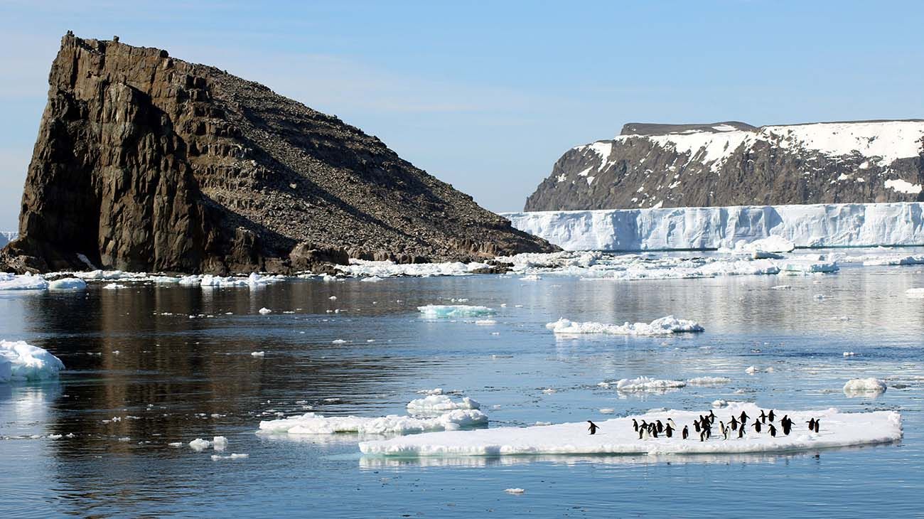 La Antártida se está volviendo “verde” por el calentamiento global