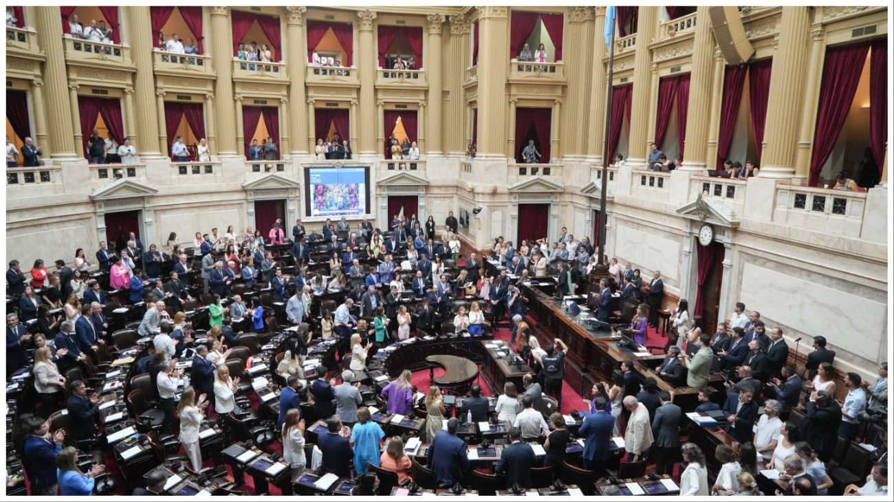 Quitan casi 150 artículos de la Ley Ómnibus: ¿cuáles son?