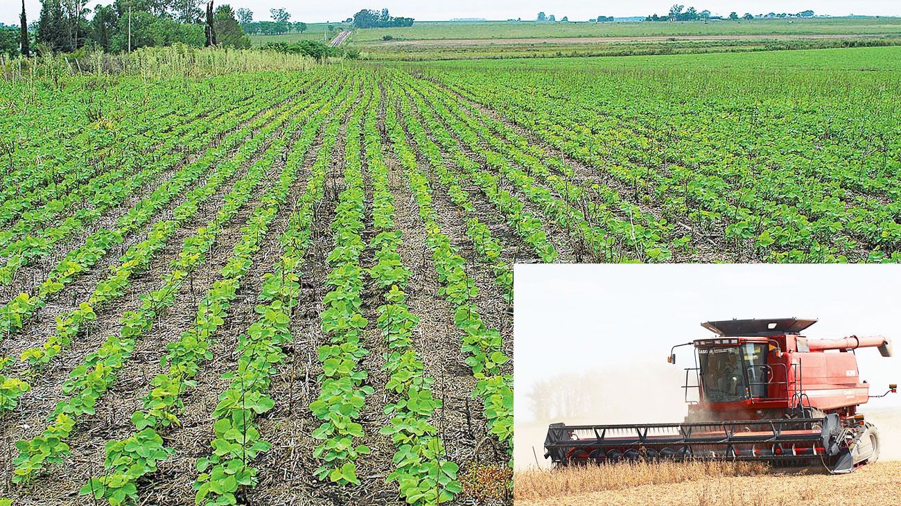 Del arado al satélite, la revolución del campo
