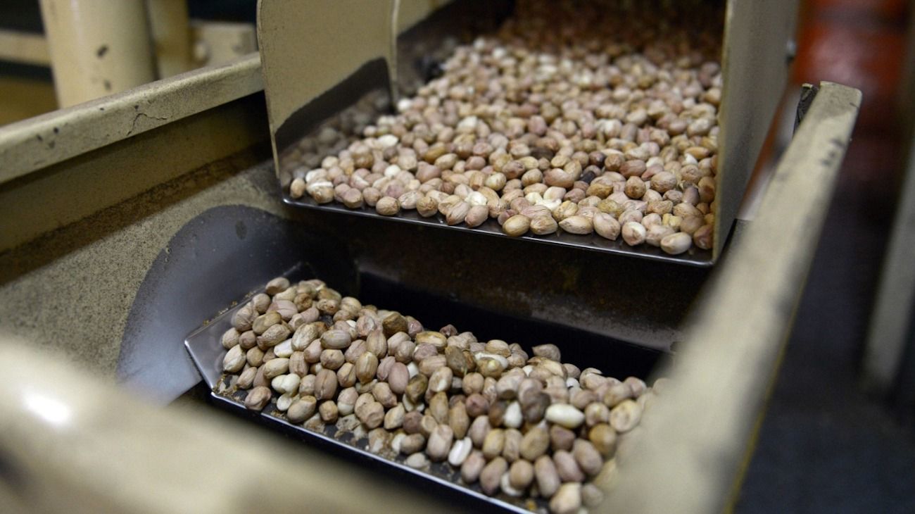 Exportaciones de alimentos y bebidas regionales crecieron 9,2%