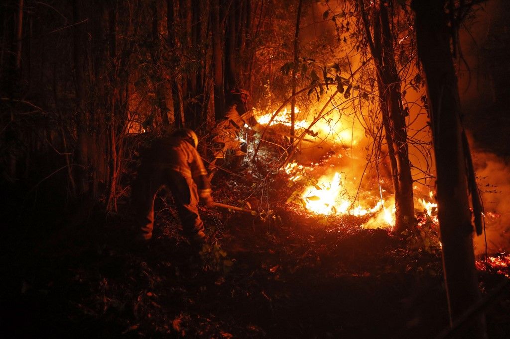 Chile decretó el toque de queda en las zonas afectadas por los incendios forestales