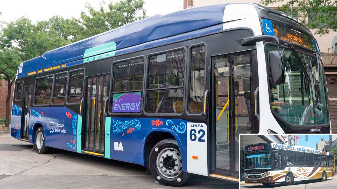 La polémica por el cambio de "identidad" en los colectivos porteños, que quieren pintar de azul
