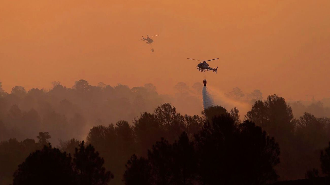 Incendios en Córdoba: advierten que "el panorama es realmente preocupante"