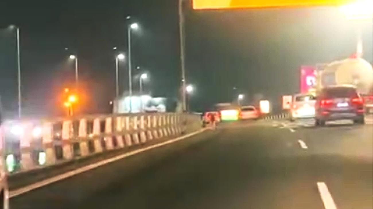 El héroe del Acceso Oeste: rescató un perro en la autopista y se hizo viral