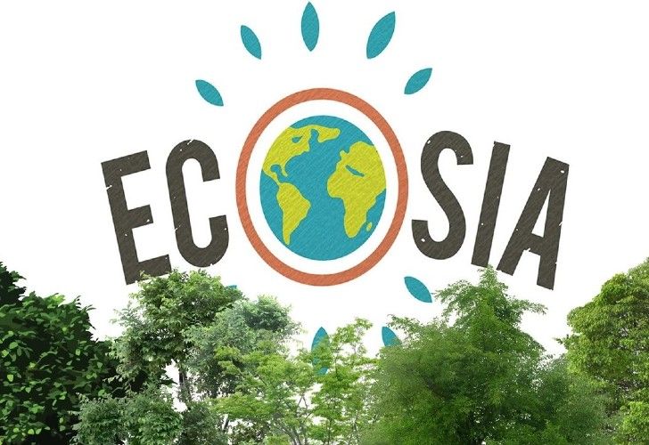 Así funciona el buscador "verde" que destina sus ganancias a plantar árboles