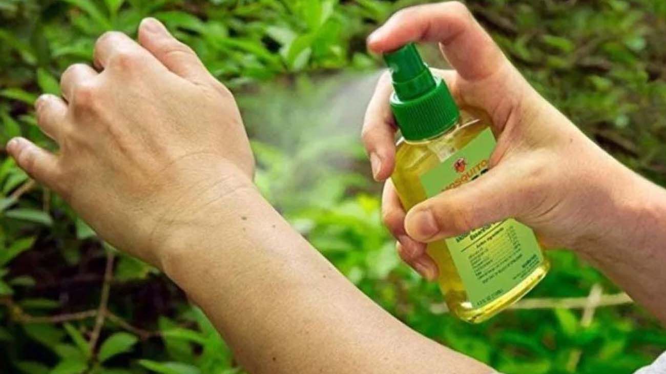 Mosquitos presentes, casos ausentes: la paradoja del dengue en Argentina