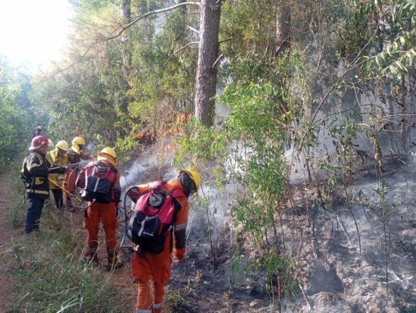 Alerta por incendios en Misiones: más de 70 hectáreas afectadas y casi 50 intervenciones