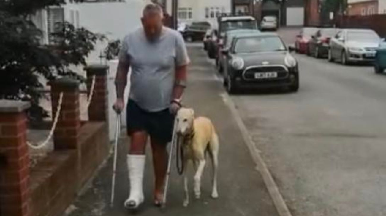 Un hombre creyó que su perro tenía una lesión, pero estaba imitando su renguera
