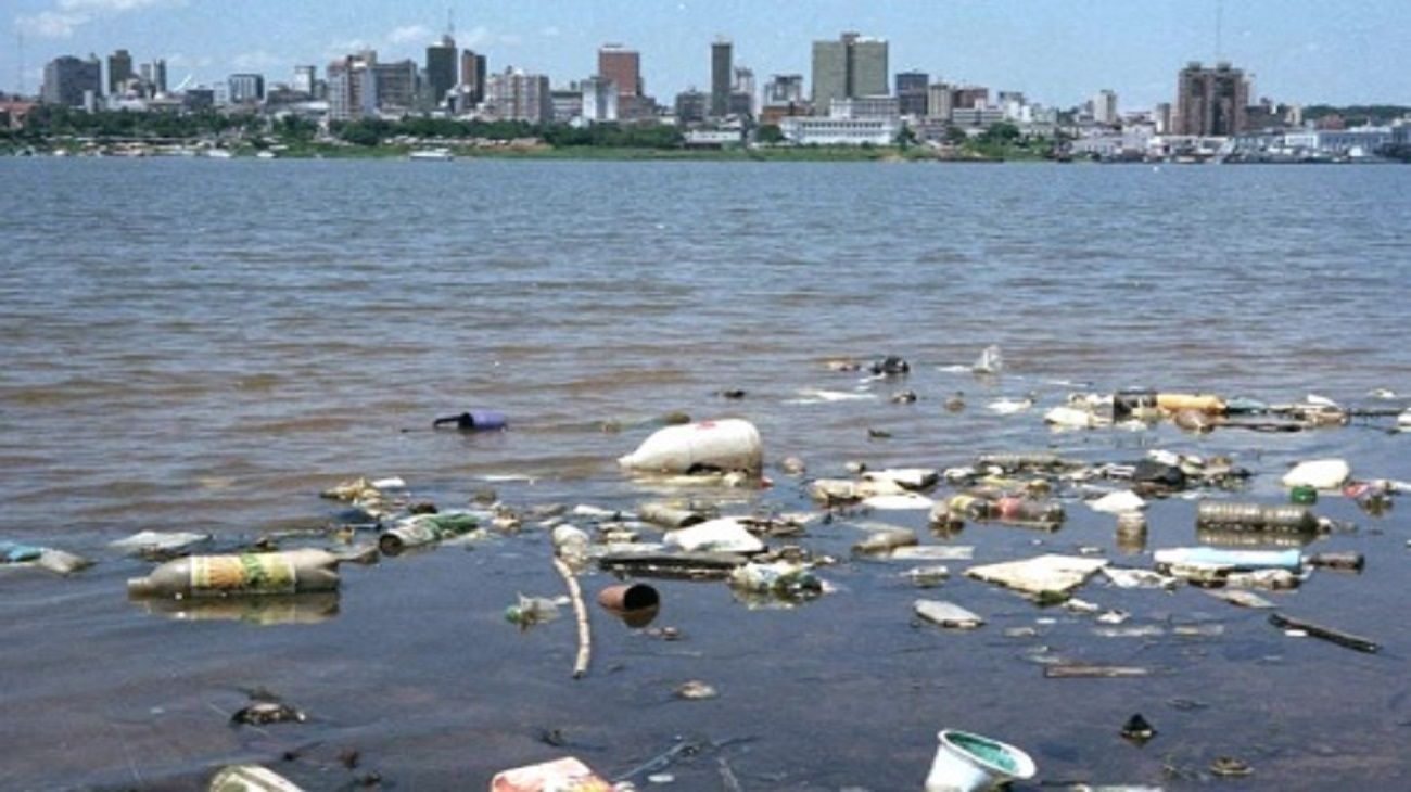 Qué es la microbiología ambiental, la llave al futuro