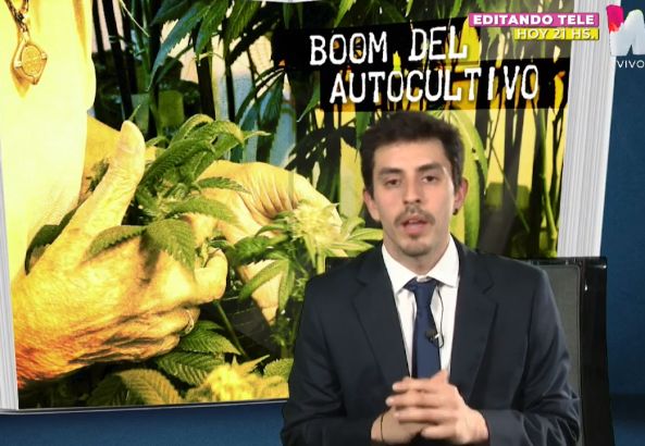 Boom del autocultivo: cada vez más adultos mayores apuestan al cannabis medicinal