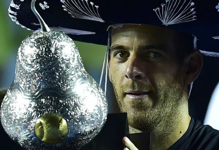 Del Potro se quedó con el título en Acapulco