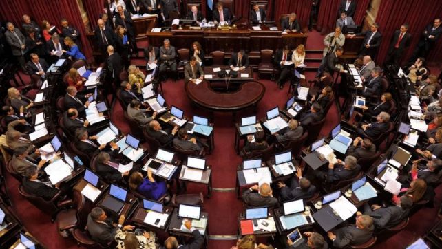 El Senado repuso la emergencia en discapacidad y dejó sin efecto un veto presidencial
