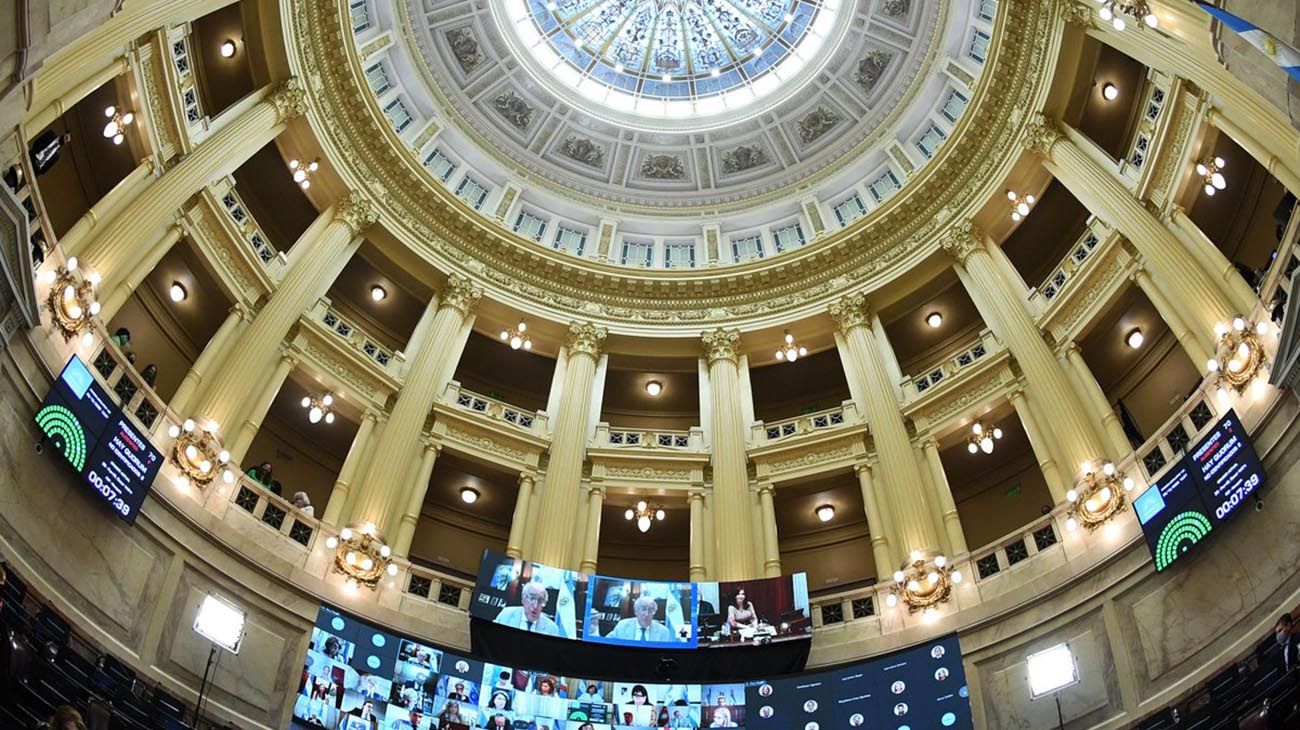Legalización del aborto: cómo votó cada senador en la pulseada final