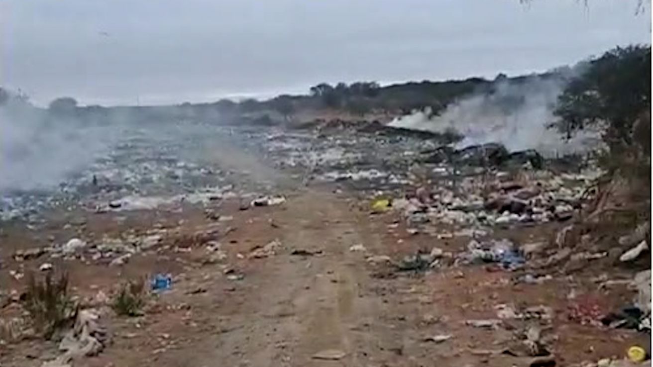 Macabro hallazgo: encontraron el cadáver de un bebé en un basural ¿qué arrojó la autopsia?