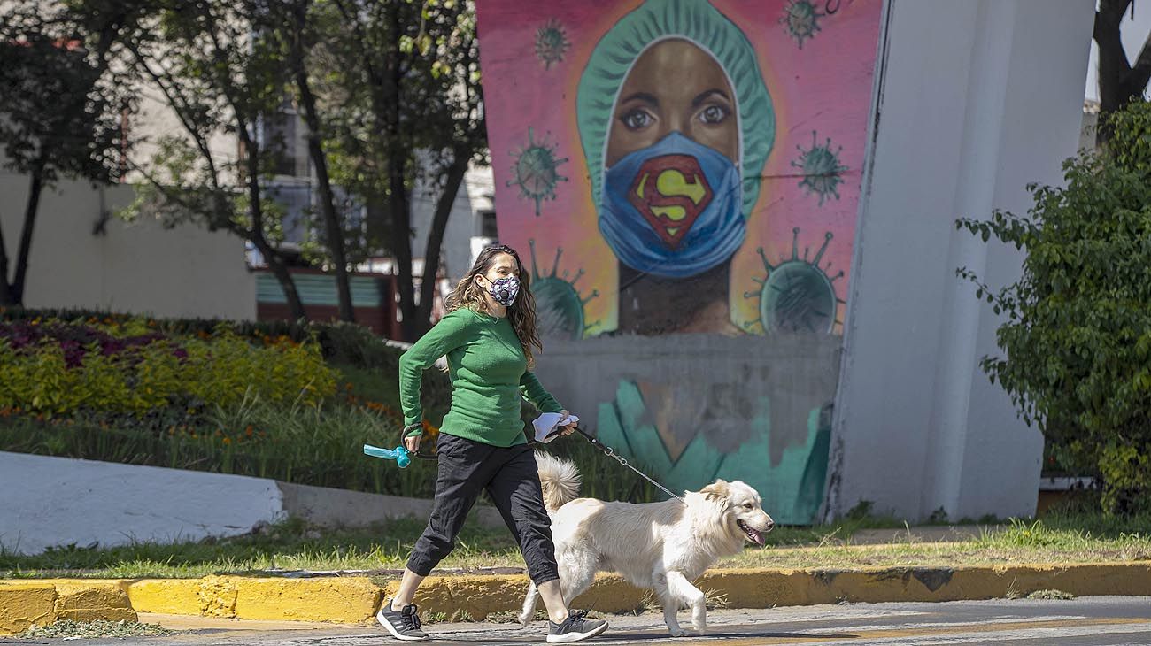 Cinco perros dieron positivo de coronavirus en México