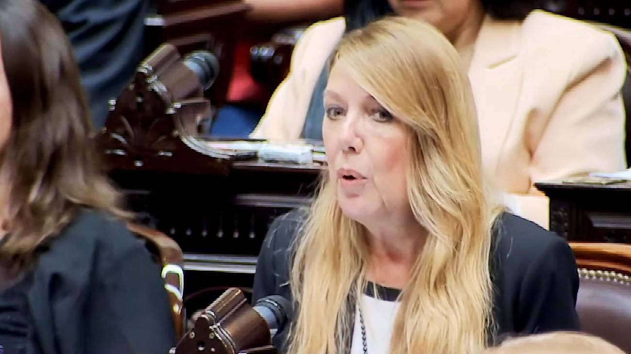 Ficha Limpia: una diputada se solidarizó con Sonia Cavallo y recordó cuando Milei echó a su marido de ANSES