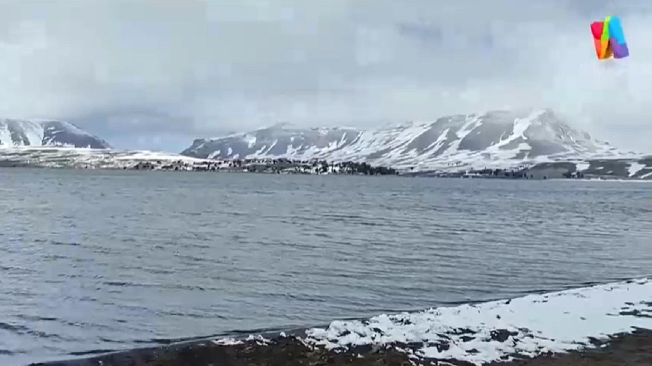 Exclusivo: así son los ejercicios de salvataje necesarios para invernar en la Antártida
