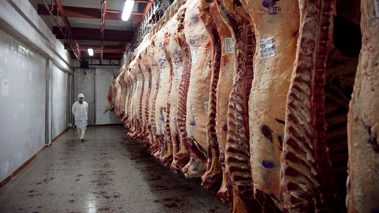 Inhabilitan a 6 exportadoras de carne por no liquidar divisas y falsear documentación