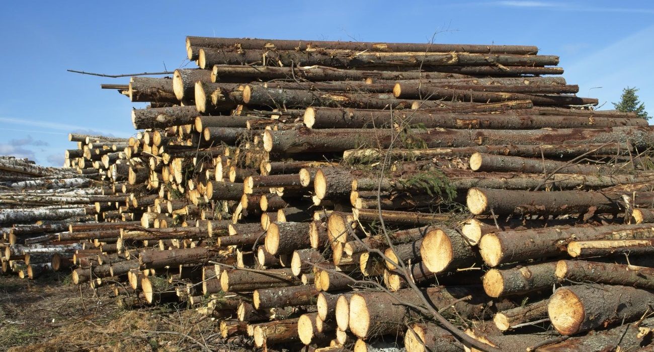 Europa no comprará carne a países con zonas deforestadas