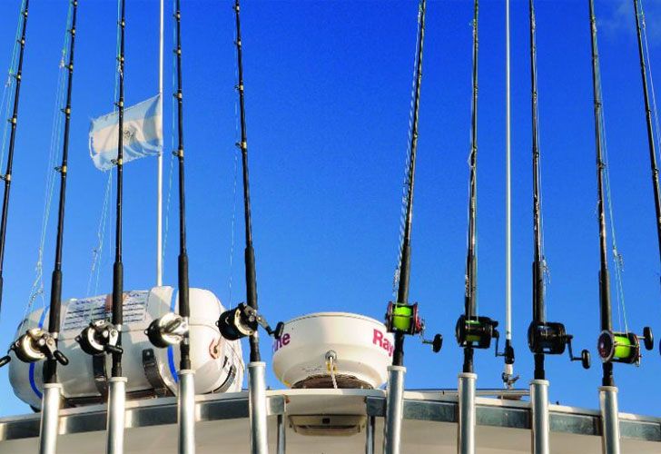 Excursiones de pesca: otra vez en pleno auge