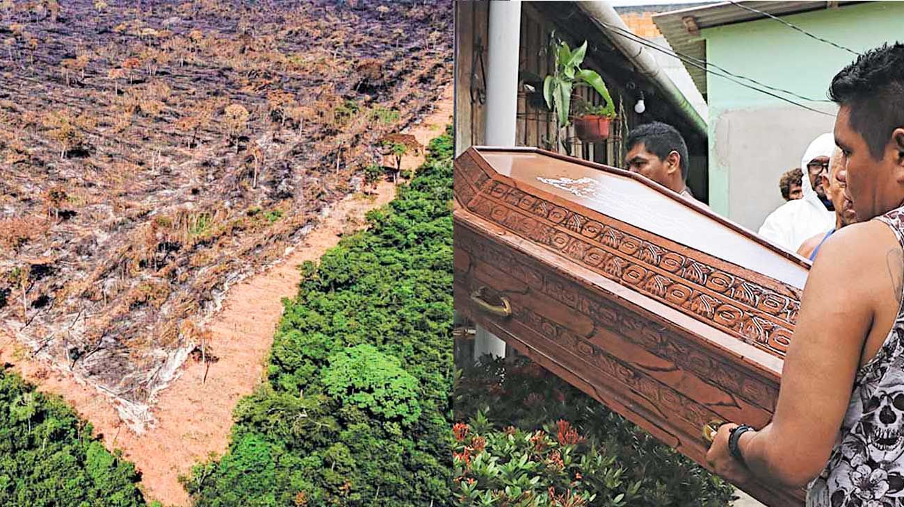 La doble tragedia que vive la Amazonia por el virus y la deforestación