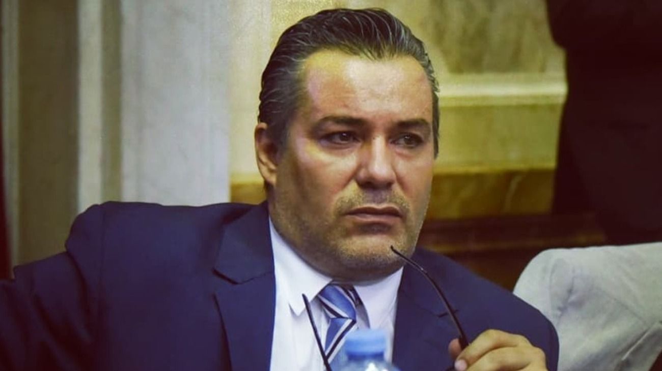 Qué dice el artículo por "inhabilidad moral" que suspendió al diputado Ameri
