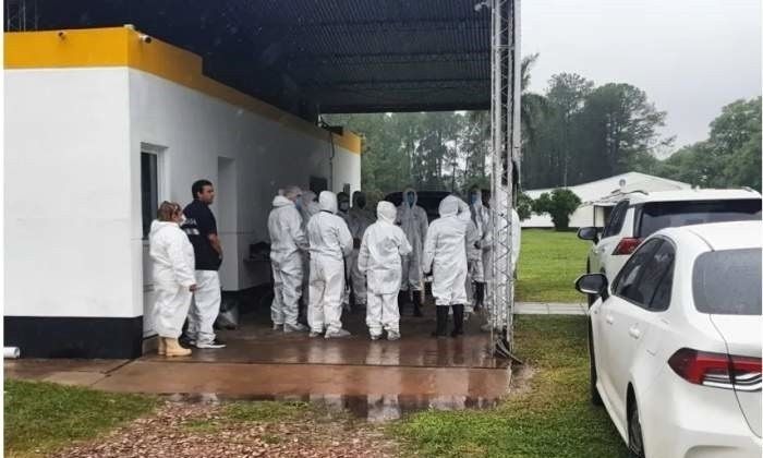 Duro revés judicial para Senasa por una denuncia contra la avícola Santa Ana de Corrientes