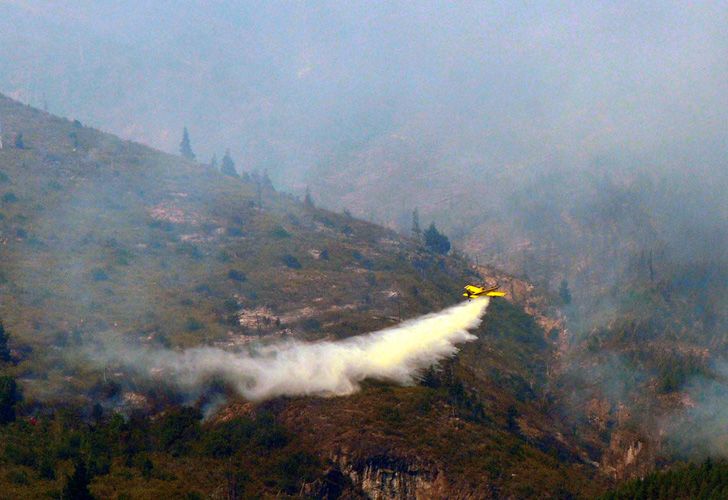 Se incendió el Parque Nacional Los Alerces y denuncian que fue "intencional"