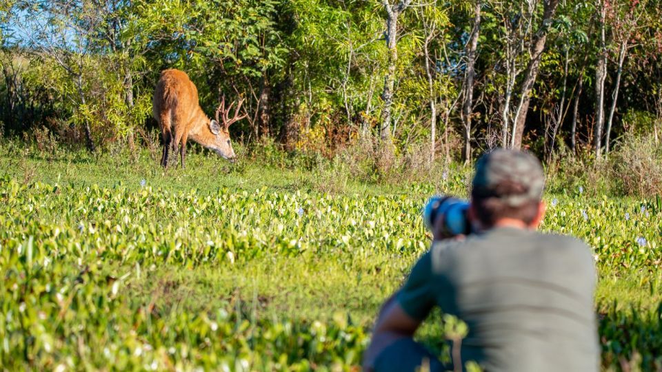 Por qué la naturaleza es esclava y cómo se puede liberar