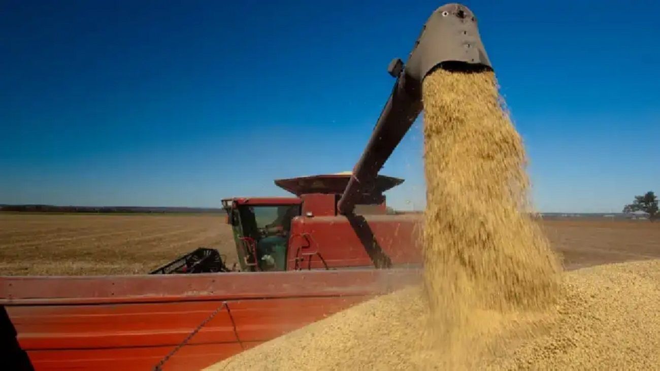 Retenciones al agro: el Gobierno avanza con la baja para trigo y cebada y el campo celebra mayor previsibilidad