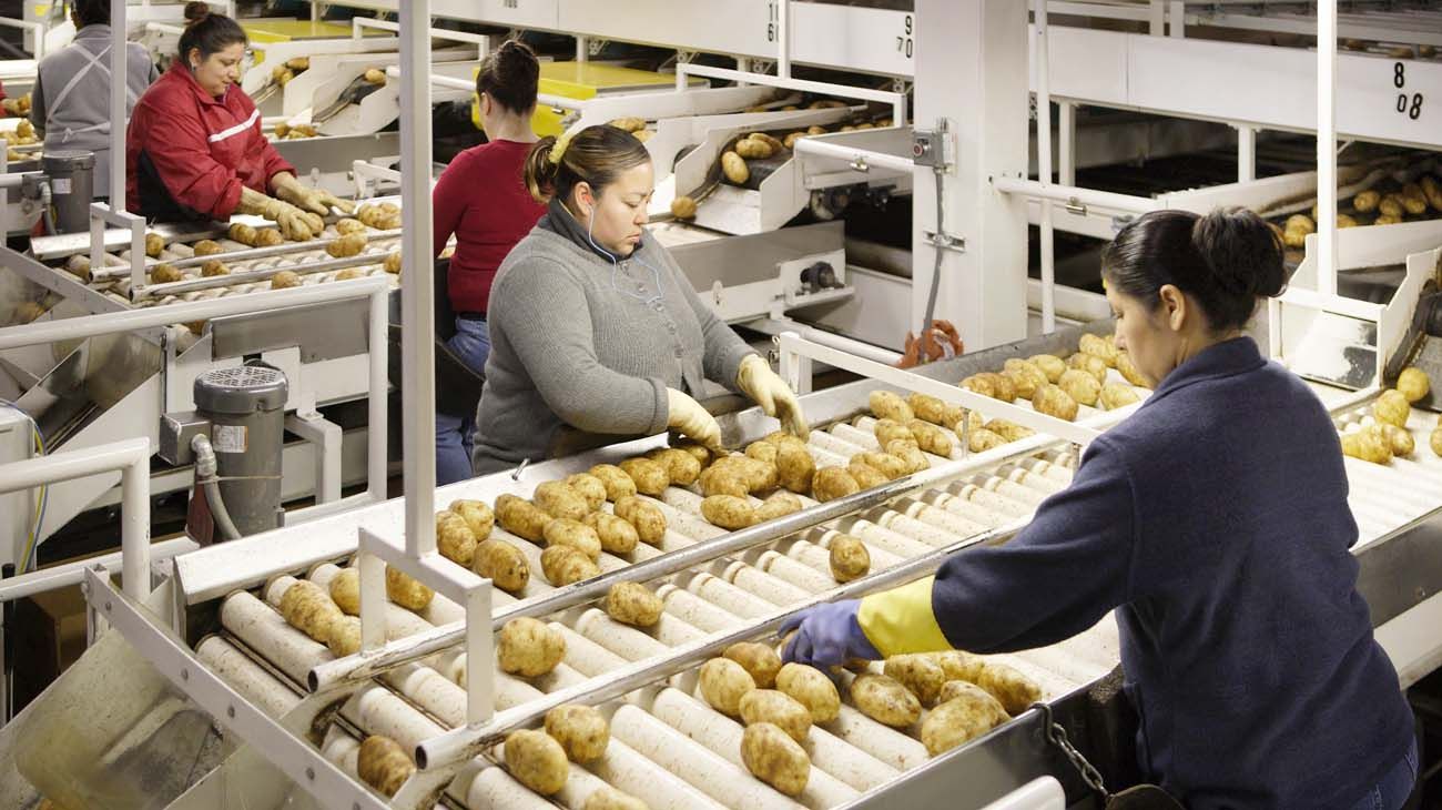 Tasa de actividad y de empleo: crece la brecha de género entre jóvenes