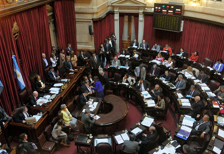 El Senado decide sobre el voto a los 16